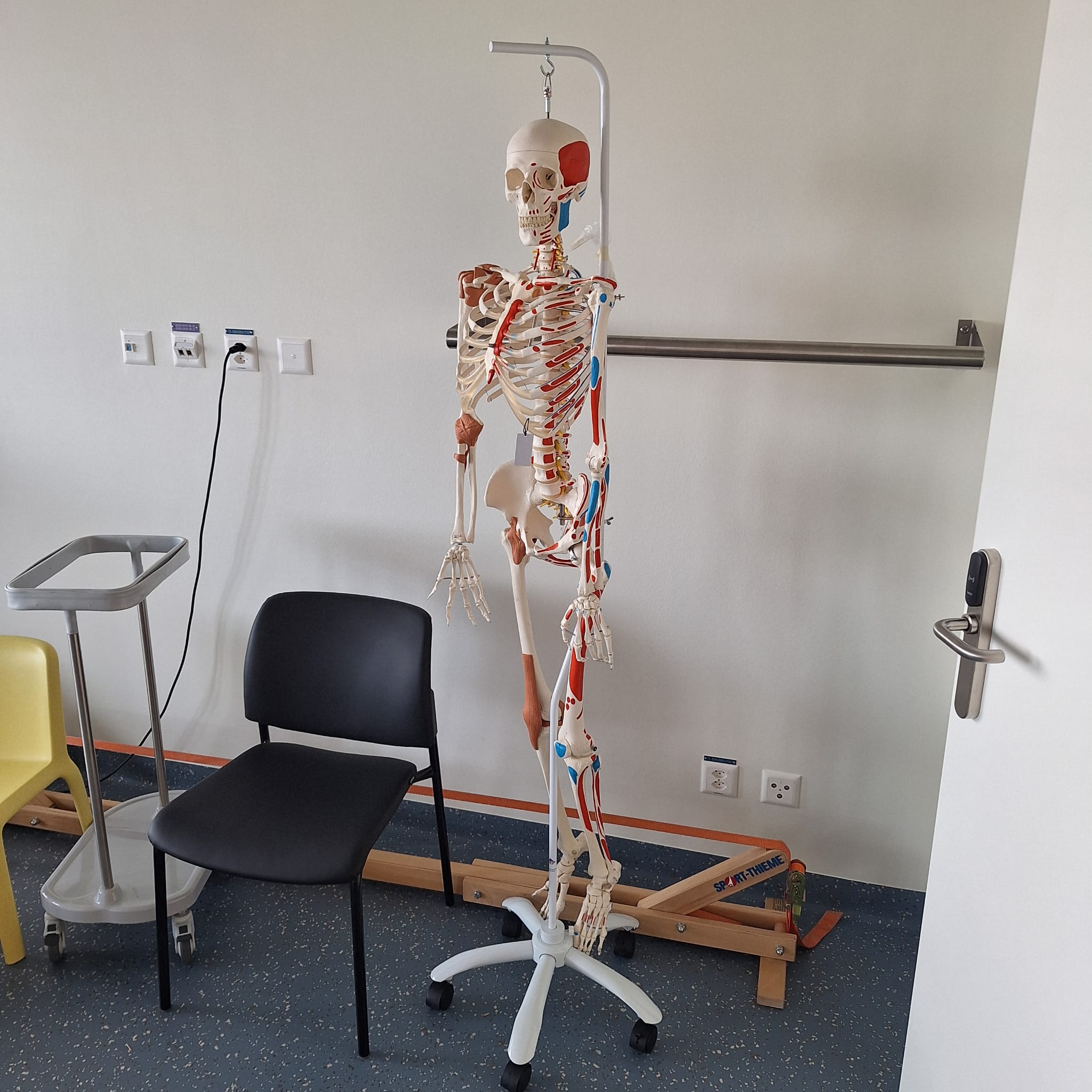CHUV — Espaliers de physiothérapie